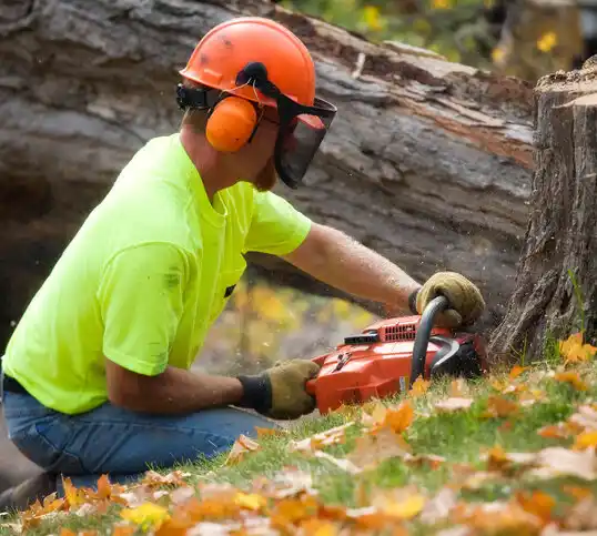 tree services Holloman AFB